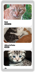 App interface with cards showing a list of cats